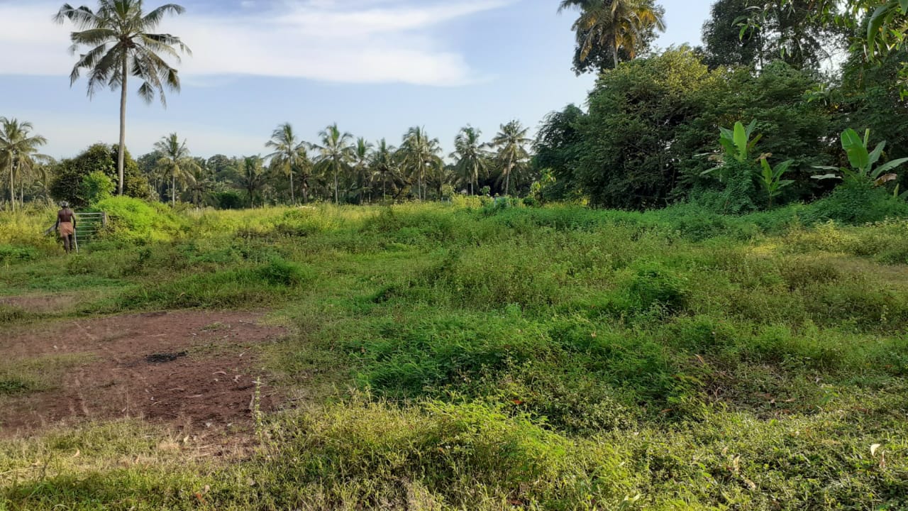 4.5 Acres of Residential Property