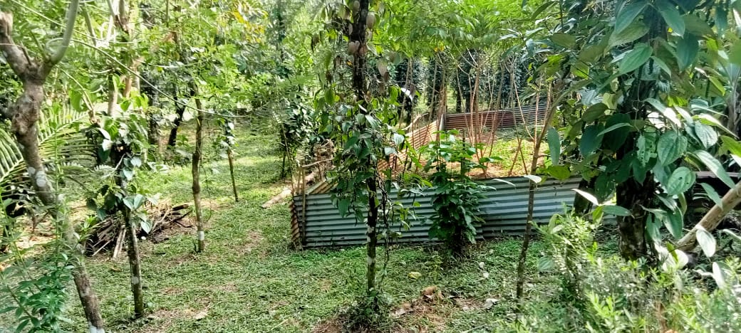 7 Acres of Land with an Old House - for sale in Kuttampuzha, Kochi ( Ernakulam ), Kerala