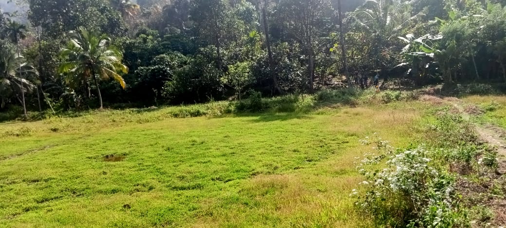 9 Acres of Land - for sale in Kuttampuzha, Kochi ( Ernakulam ), Kerala