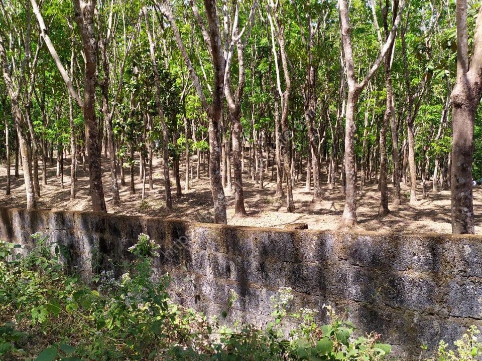 1.12 Acres of Rubber Plantation and Land for Sale in Kollam