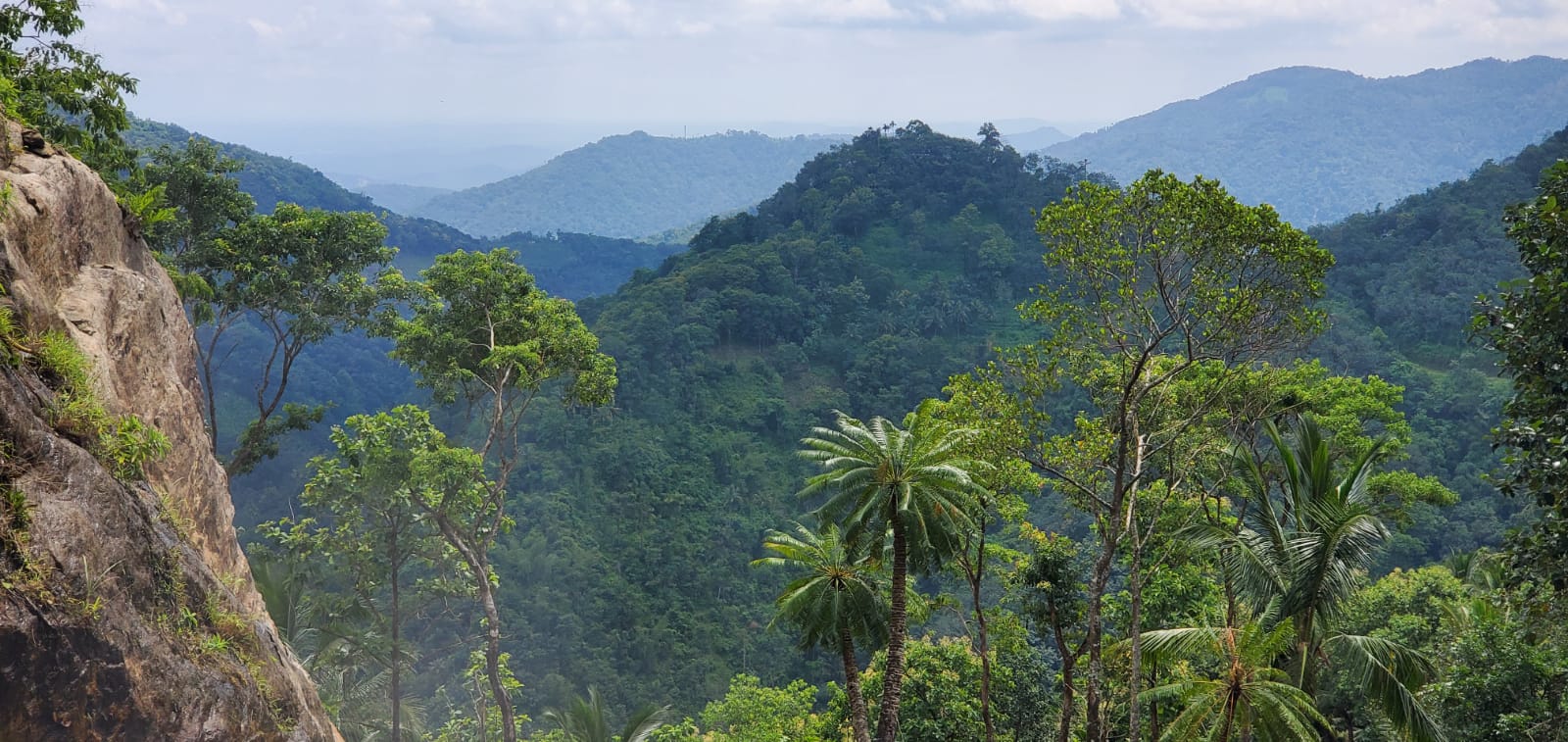 115 Cents of Land - for sale in Earattupetta , Kottayam, Kerala