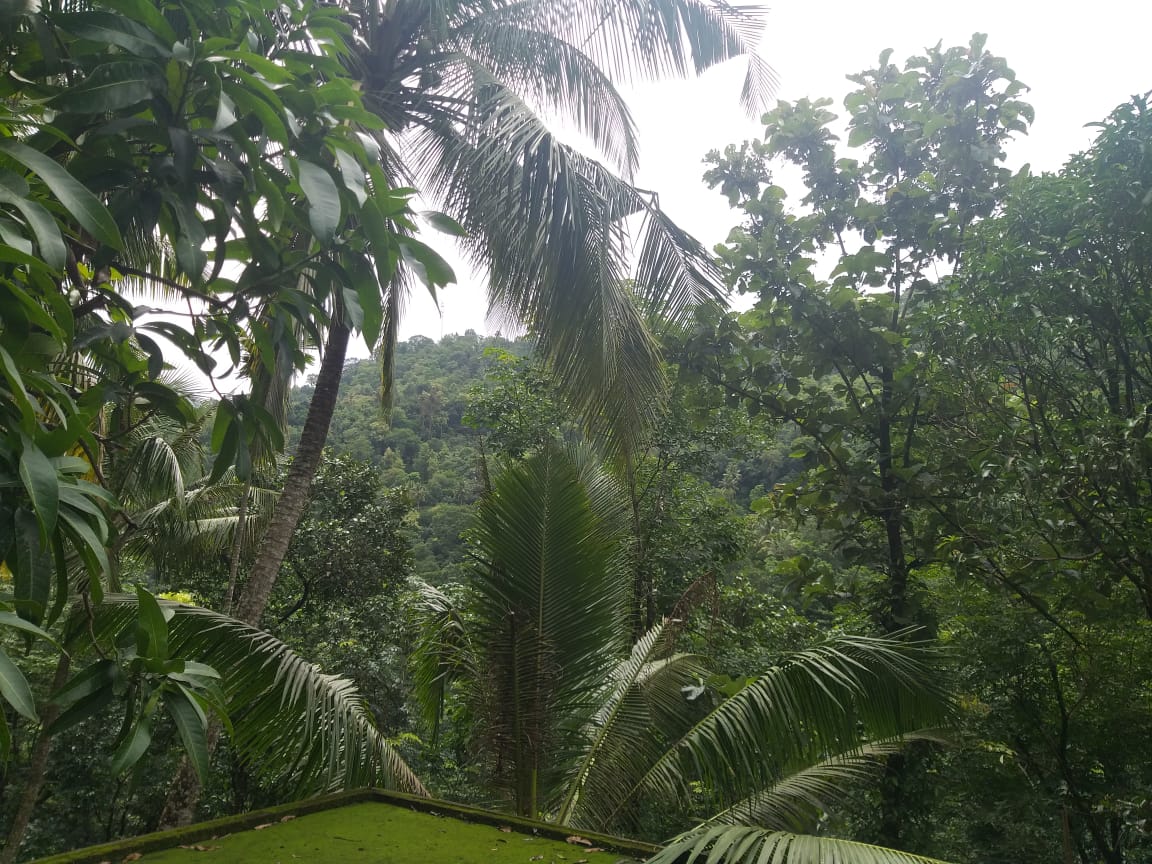 1200 Sq ft  House in 75 Cent Land - for sale in Injapara / Vagamon, Kottayam, Kerala