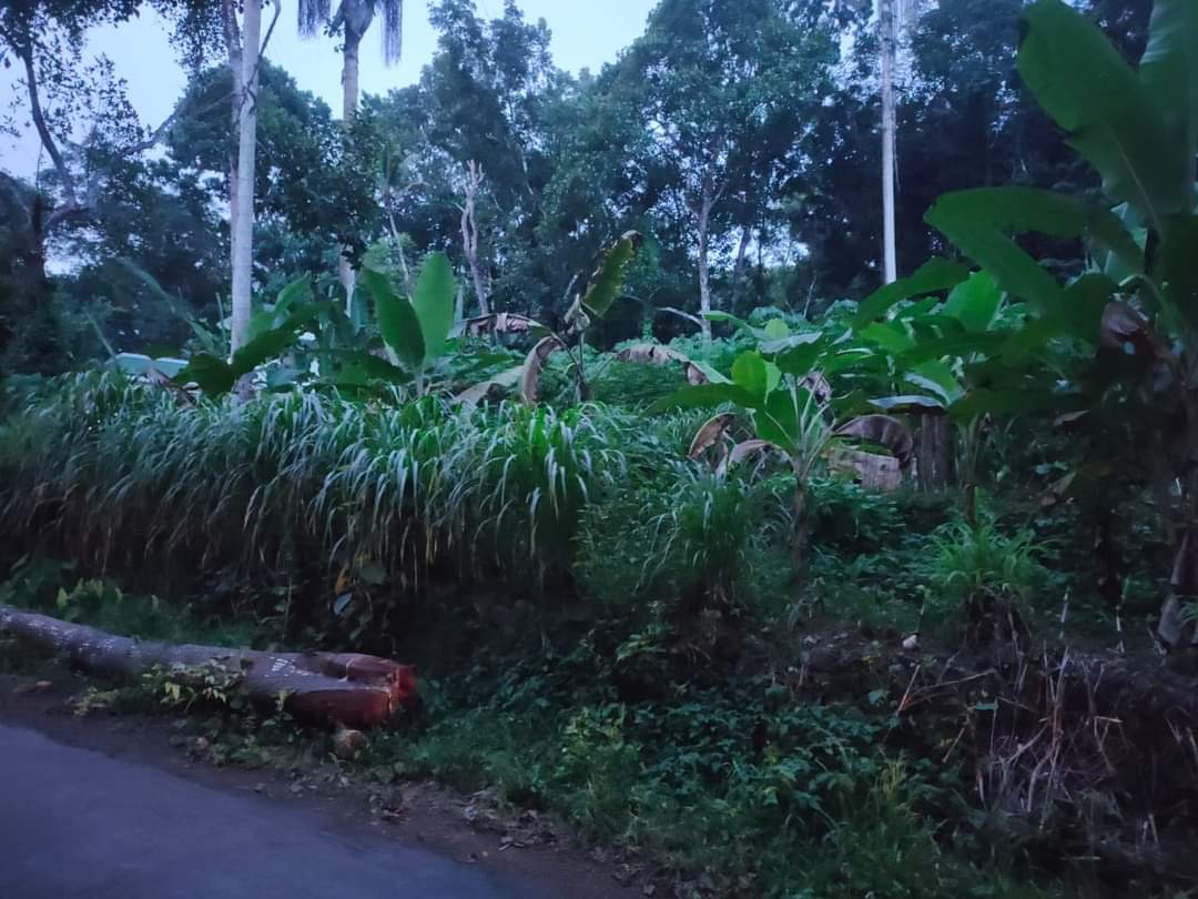 14 Cent Residential land for sale.
