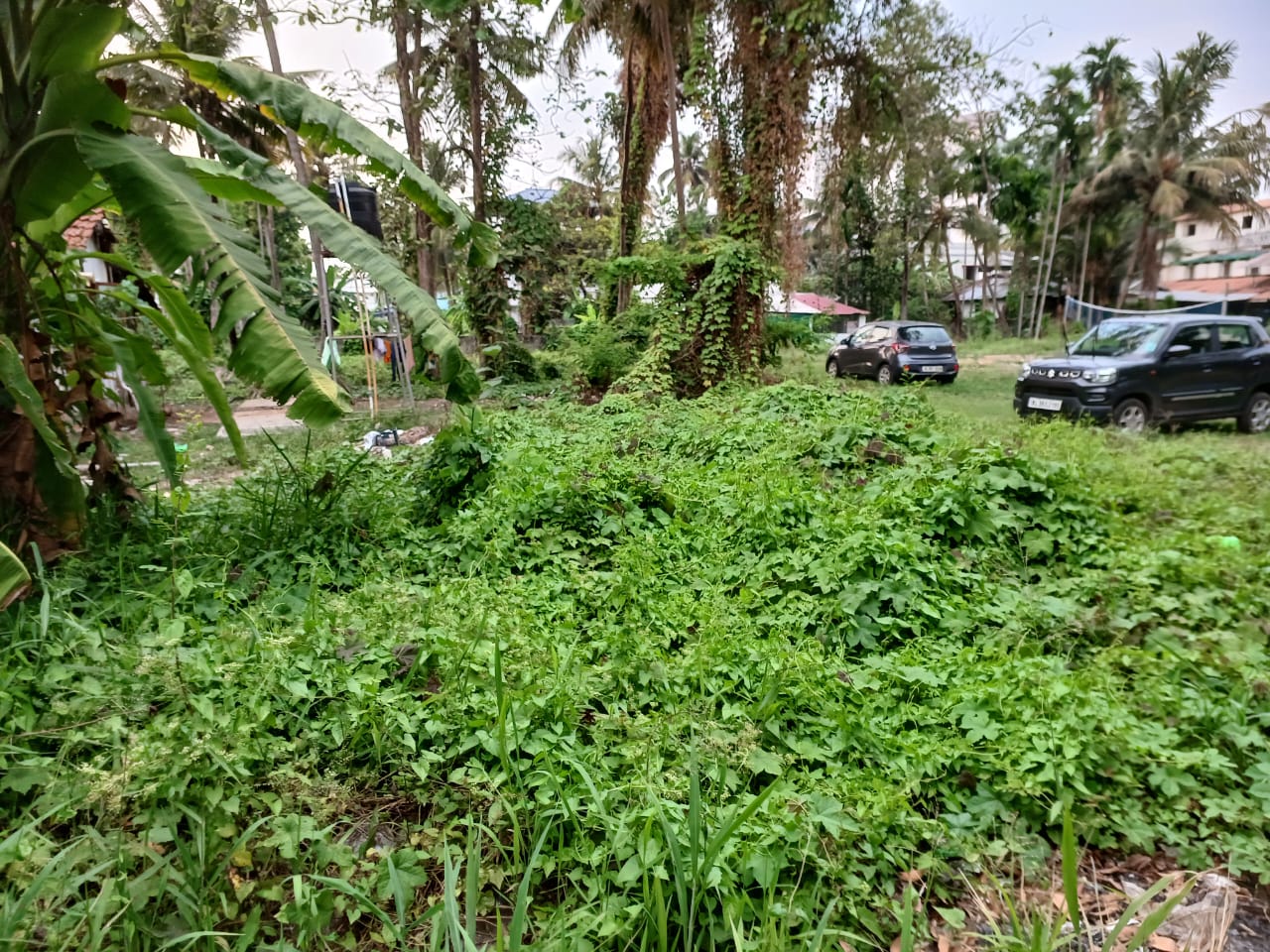 1 Acre of Land