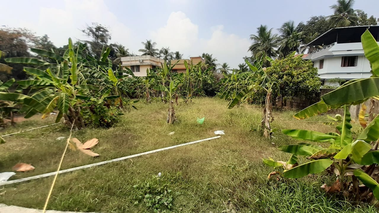 10.250cents of Residential Plot