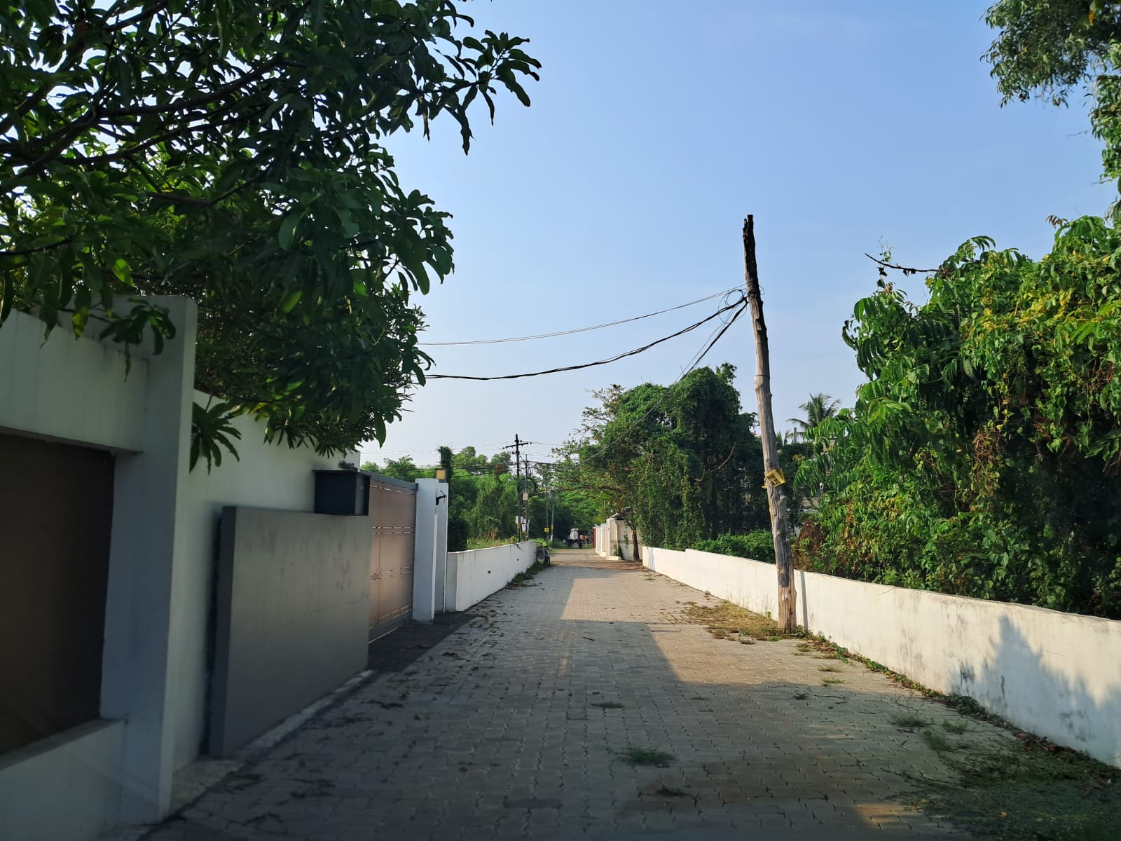 10.50 cents of Residential Land