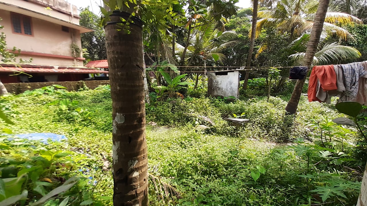 11 Cent  Land - for sale in Maradu, Kochi ( Ernakulam ), Kerala