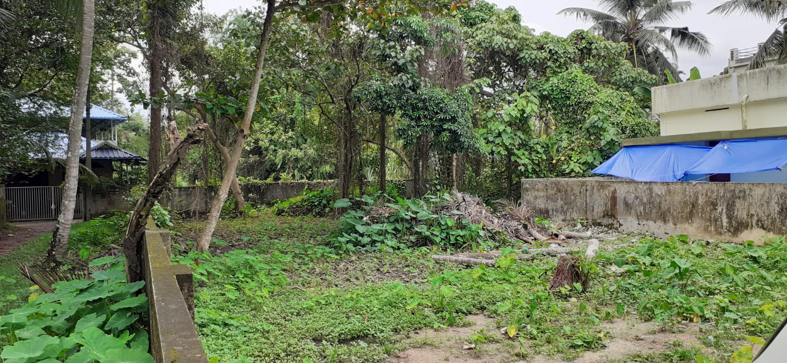 65 cents of purayidam land for sale in Kanthalloor, Munnar