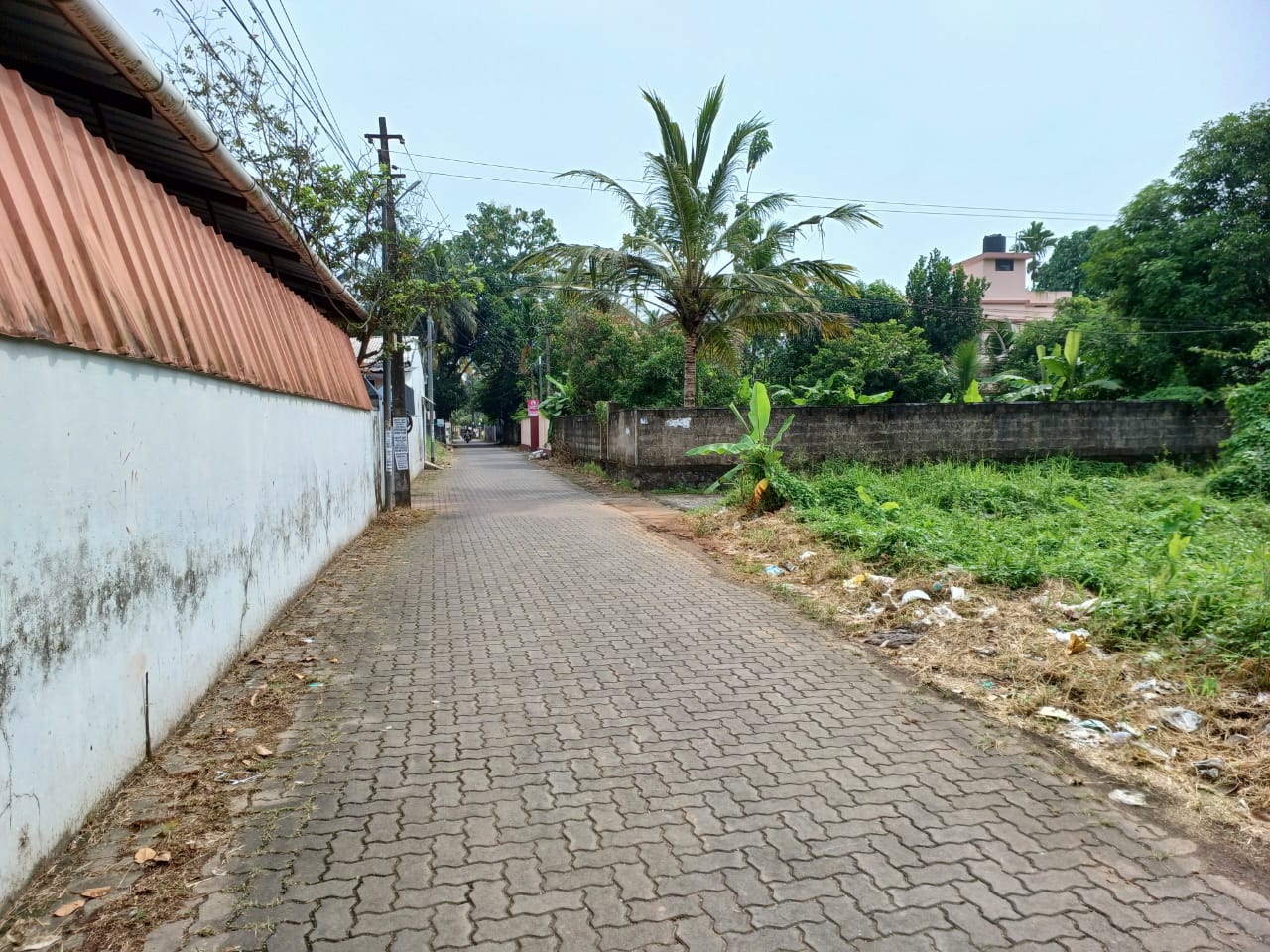 13 cent of Land
