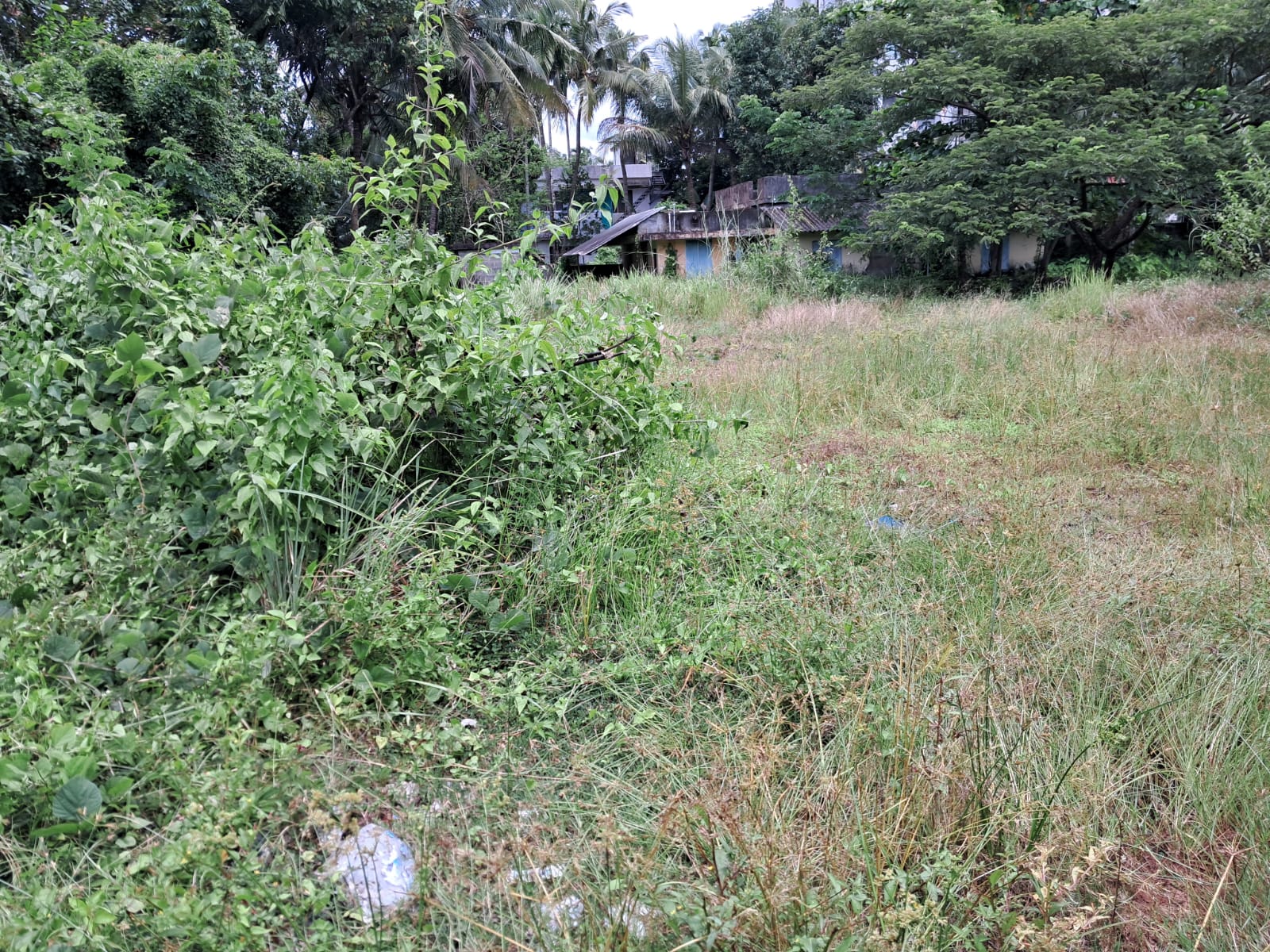 14 cents of Residential Plot