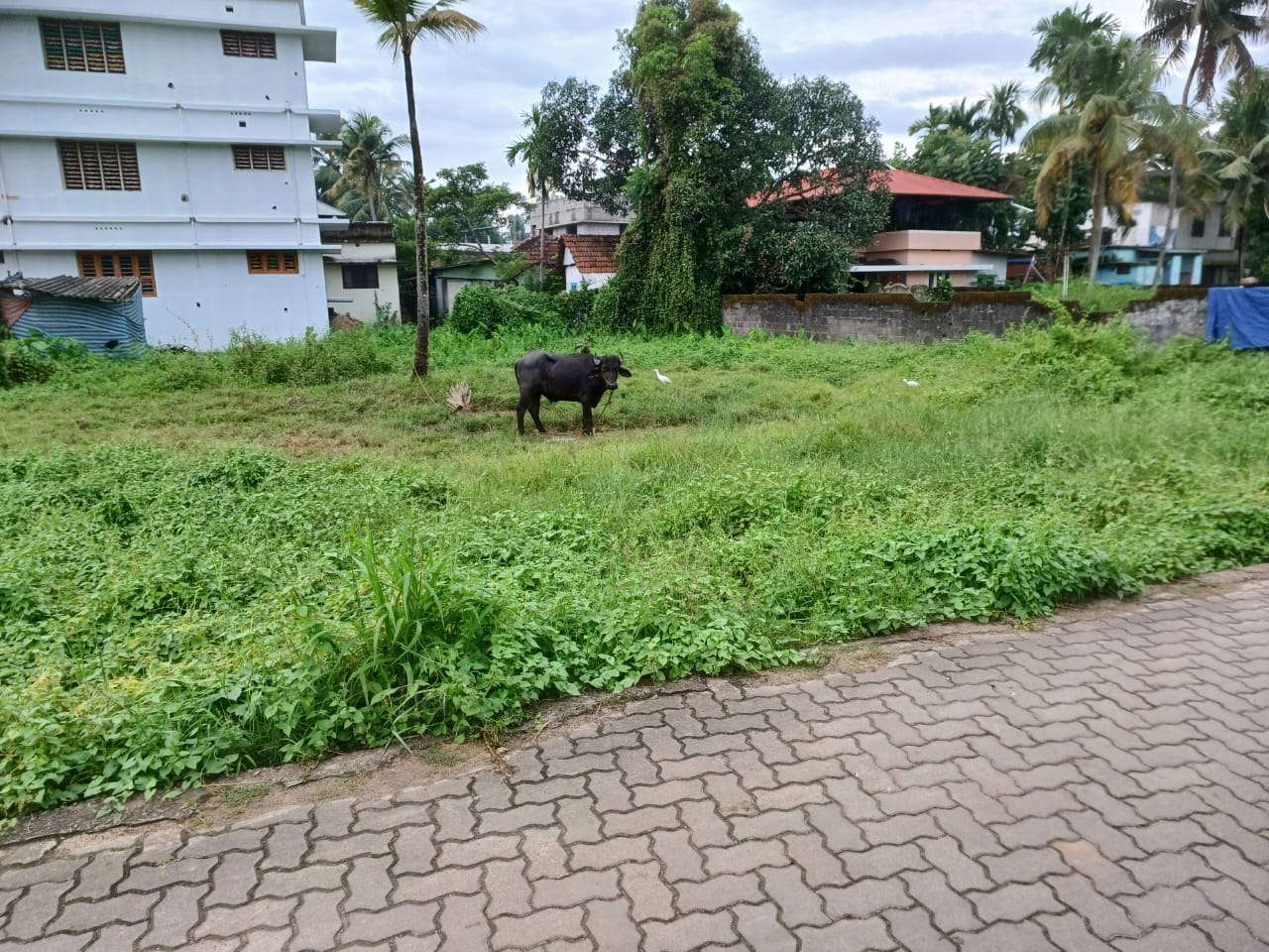 17 cent Residential Land