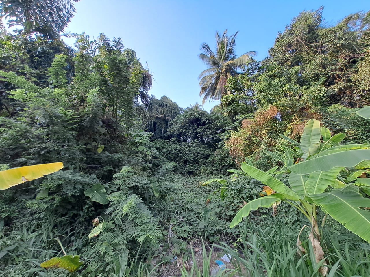 2 Acres of Prime Property
