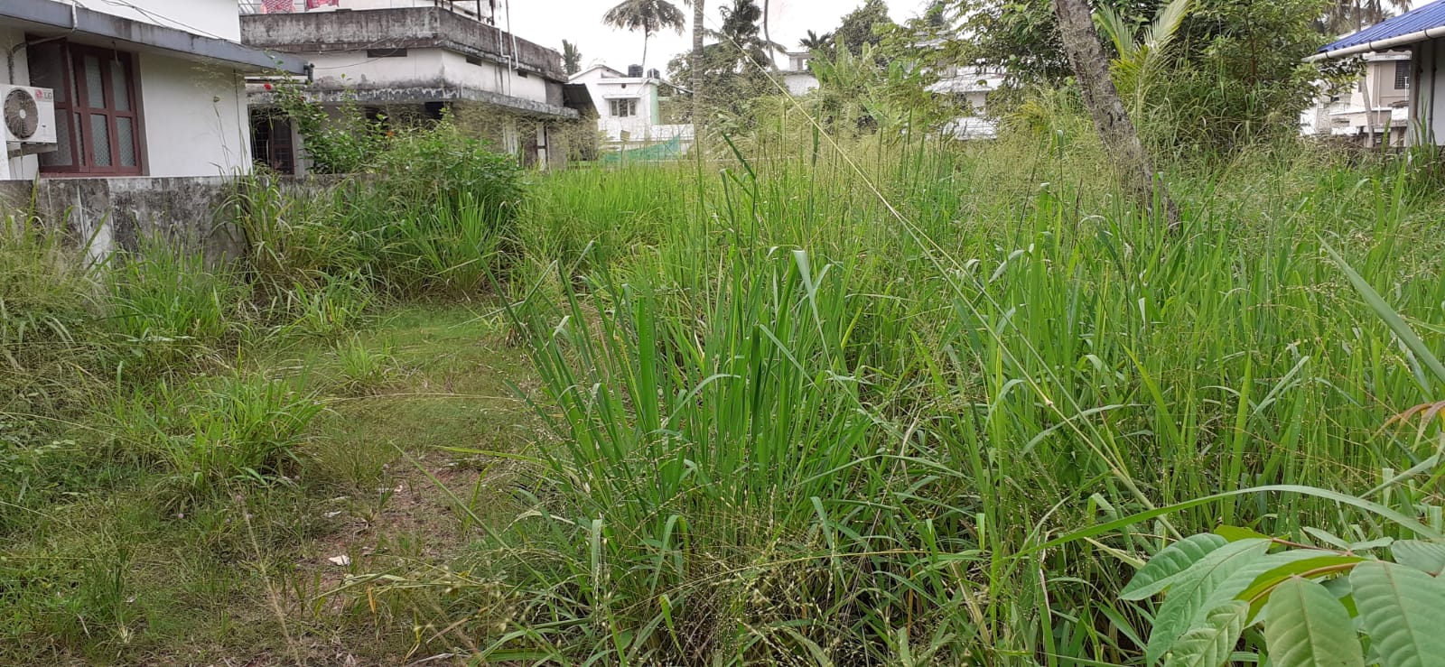 14Cent Commercial Land in Kadavanthra