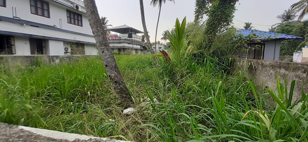 14Cent Commercial Land in Kadavanthra