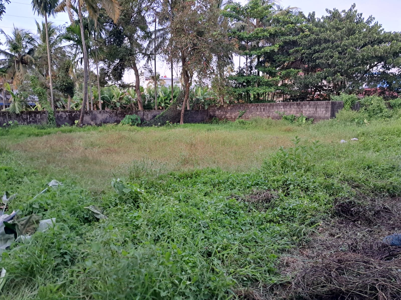 3.5 cents of Residential plot