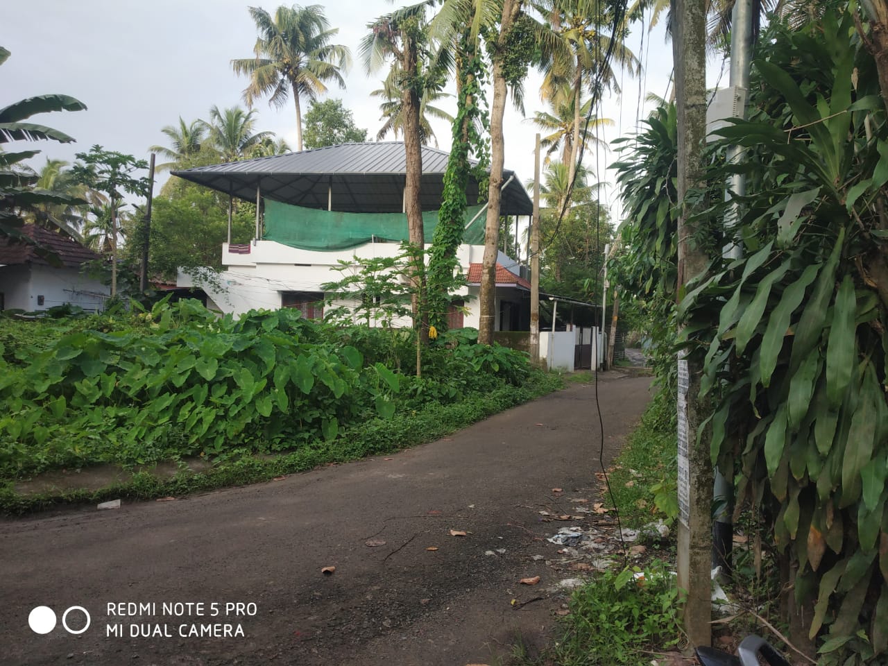 2 BHK Semifurnished Apartment 1000 sqft in Kadavanthara