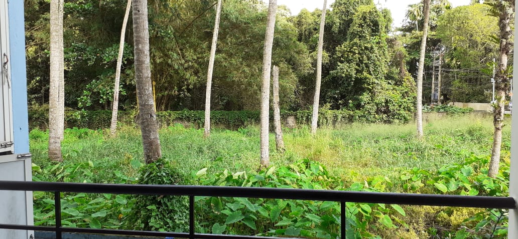 5BHK Posh House with 12cent3110sqft in Kothamangalam - for sale in Kothamangalam, Kochi ( Ernakulam ), Kerala