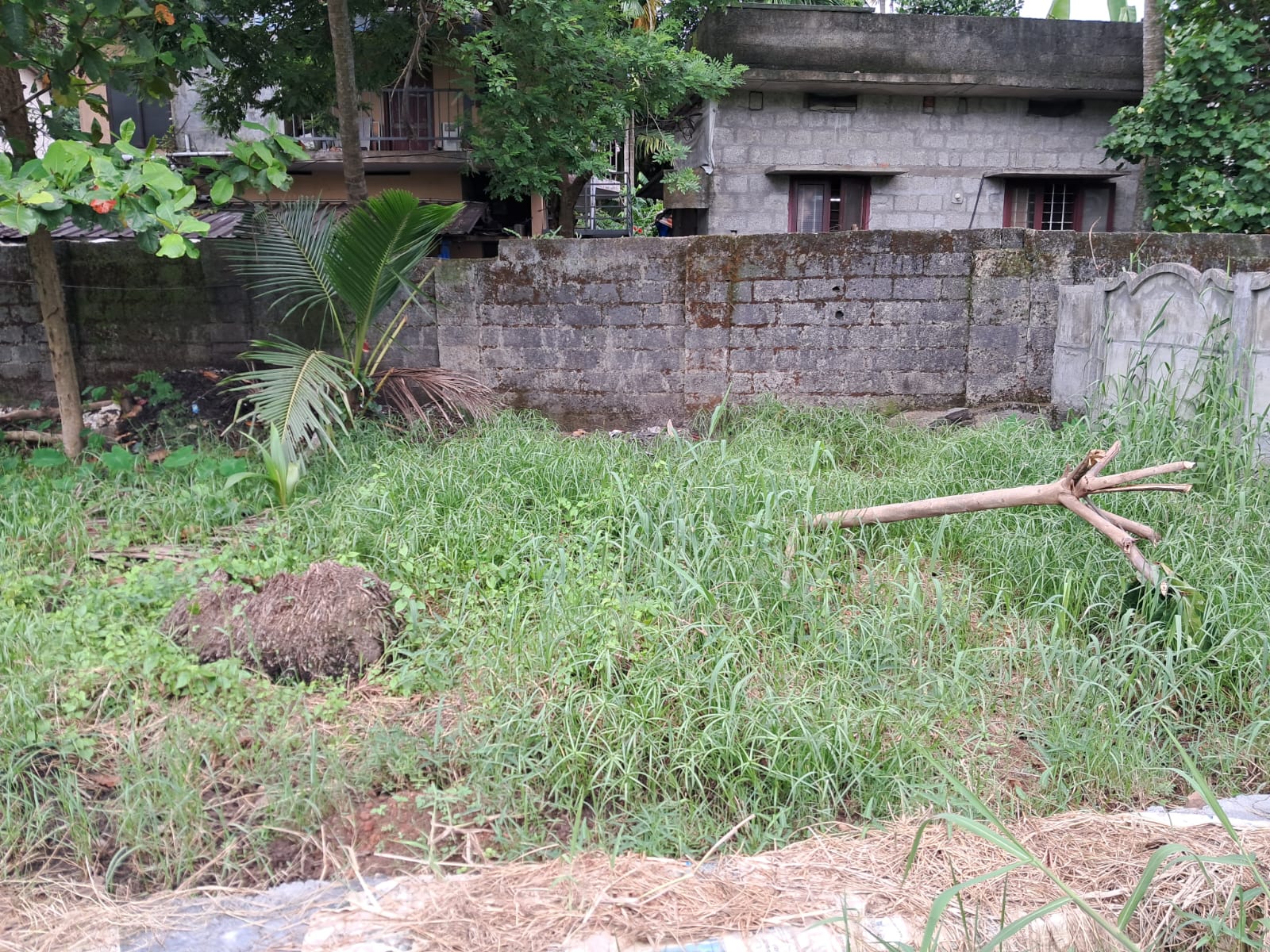 3Cents of House Plots