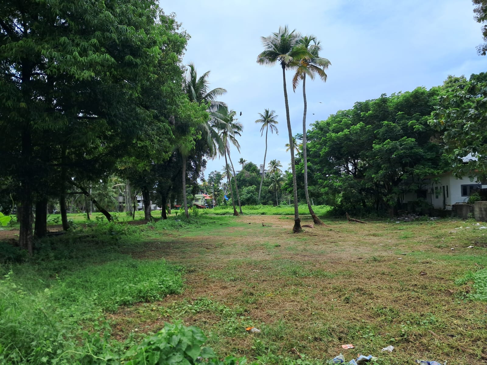4.5 Acres of Prime Commercial Property