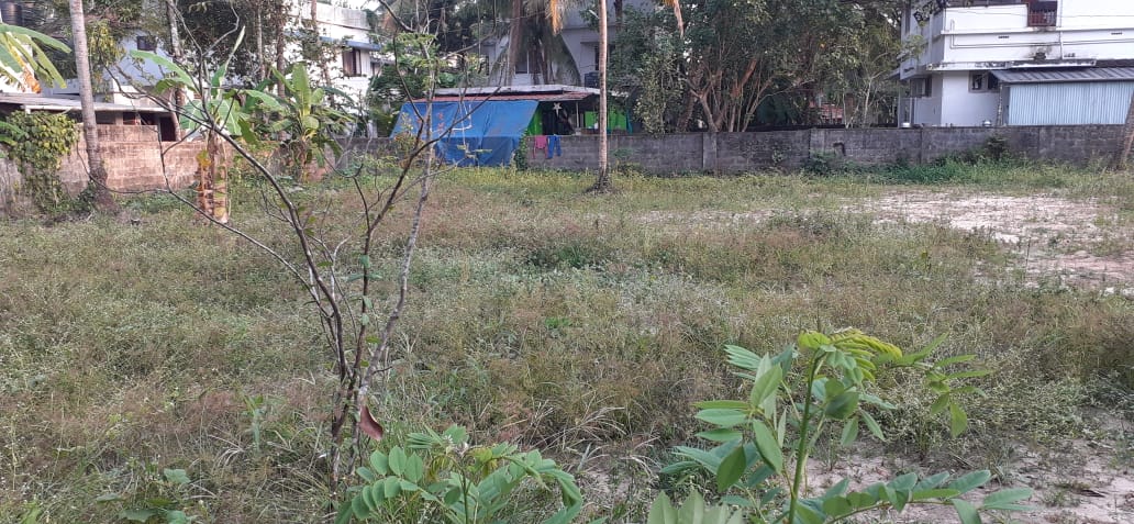 3BHK Fully furnished Apartment 1450sqft