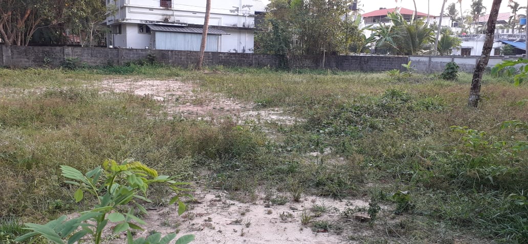 3BHK Fully furnished Apartment 1450sqft