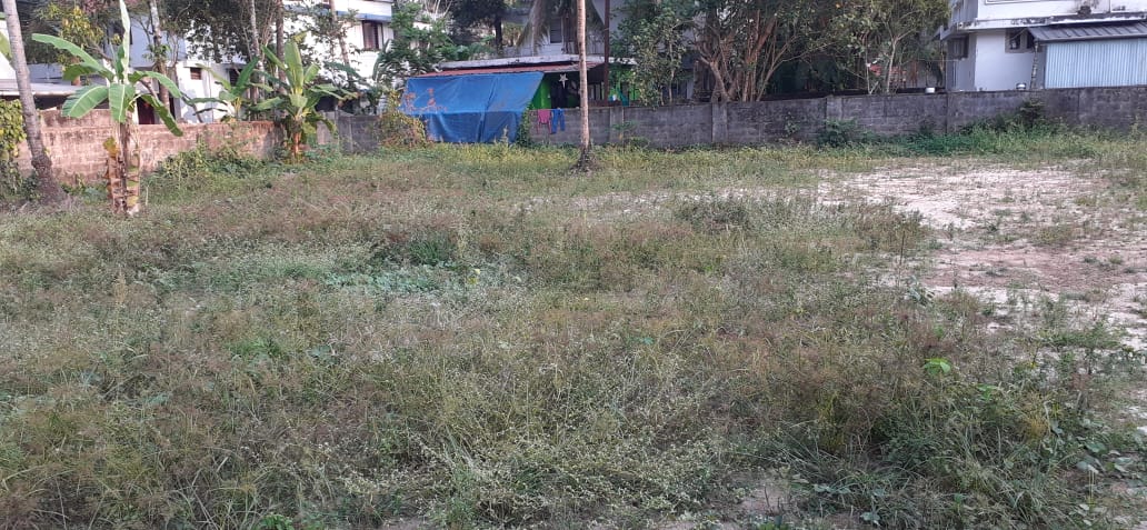 3BHK Fully furnished Apartment 1450sqft