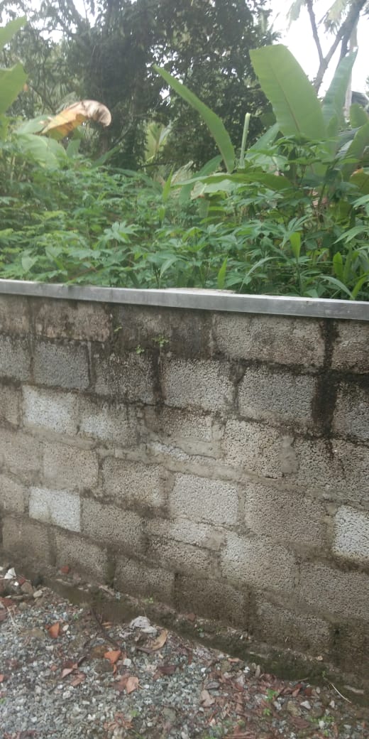 4 cents  of Residential Plot - for sale in  Pandoth Road, Kochi ( Ernakulam ), Kerala