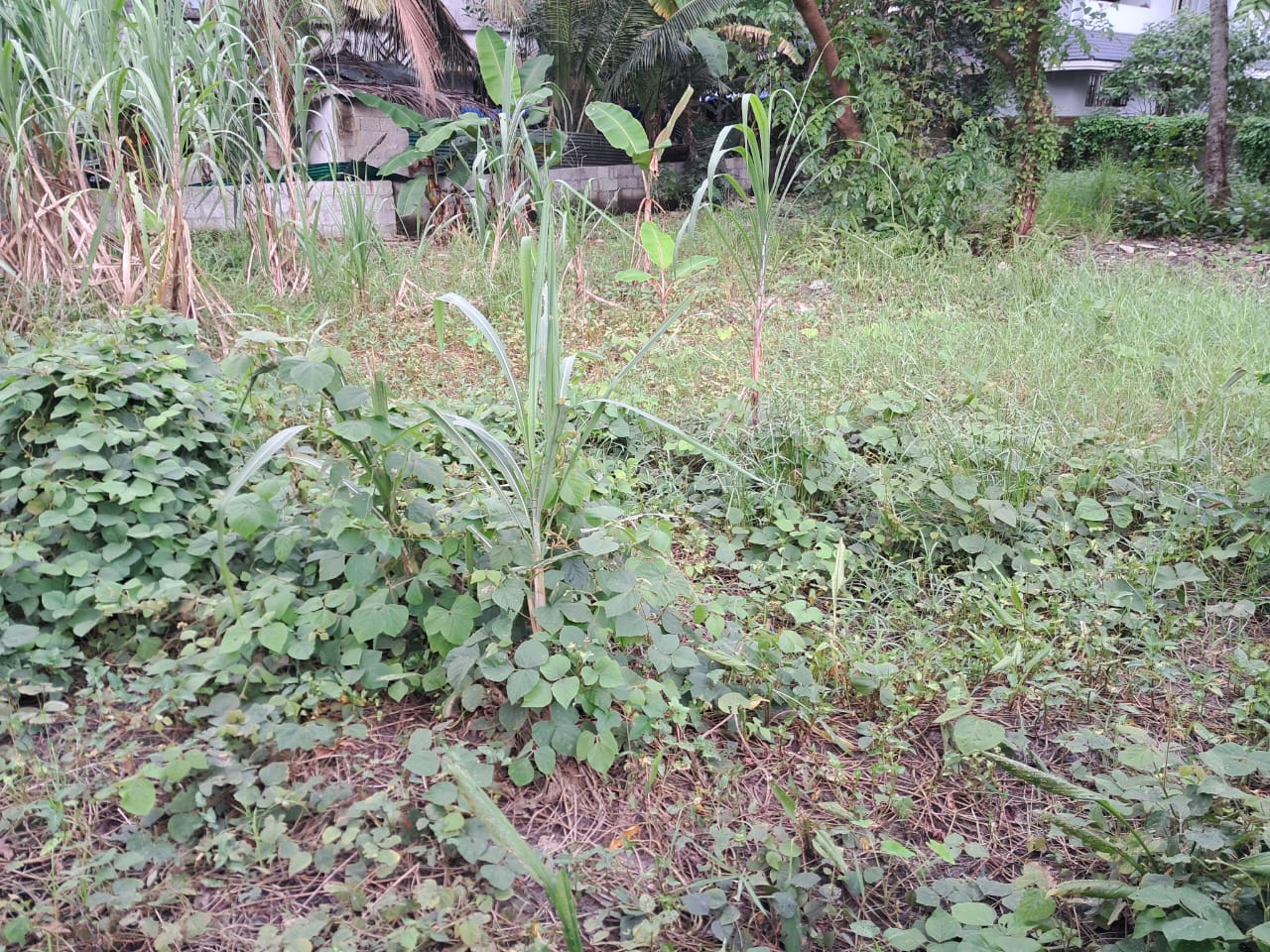 5 Cents & 7 Cents of Residential Plots