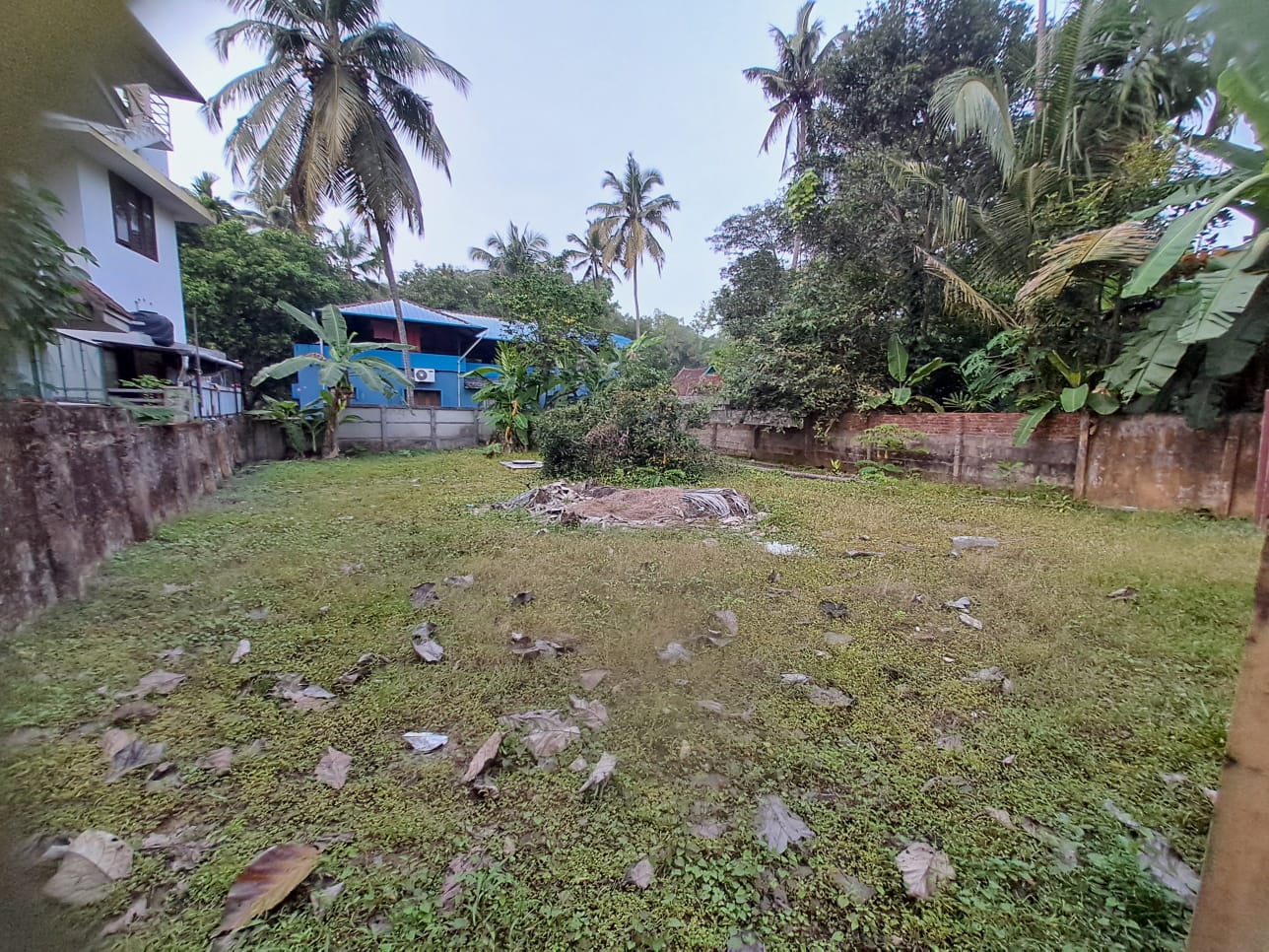 6.5 Cents of Residential/ Semi Commercial Land