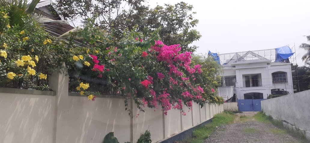 3BHK Fully Furnished Luxury flat in Vytilla, 1685 sqft