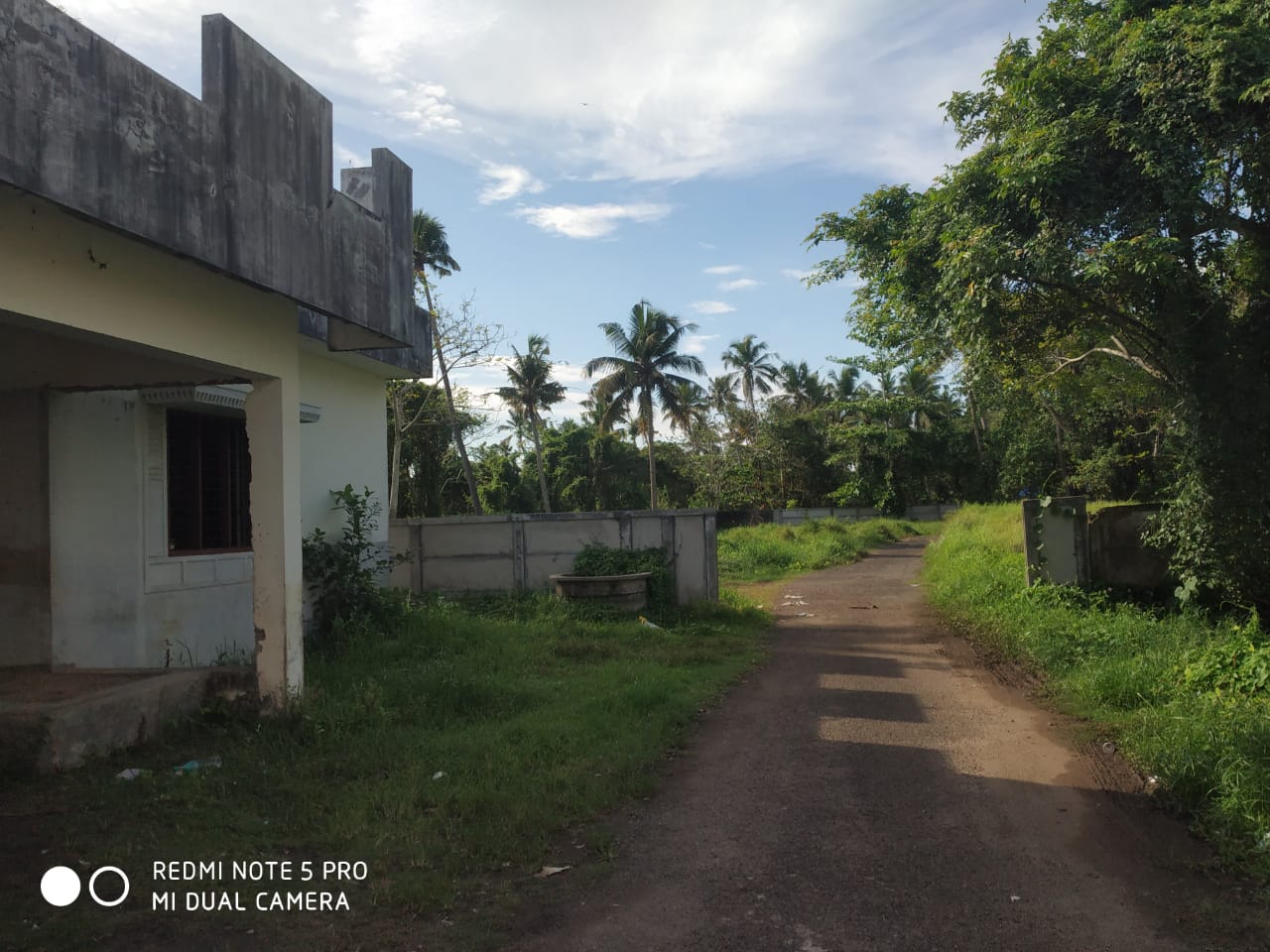 4BHK Semifurnished Brandnew House 2000sqft in Palikkara