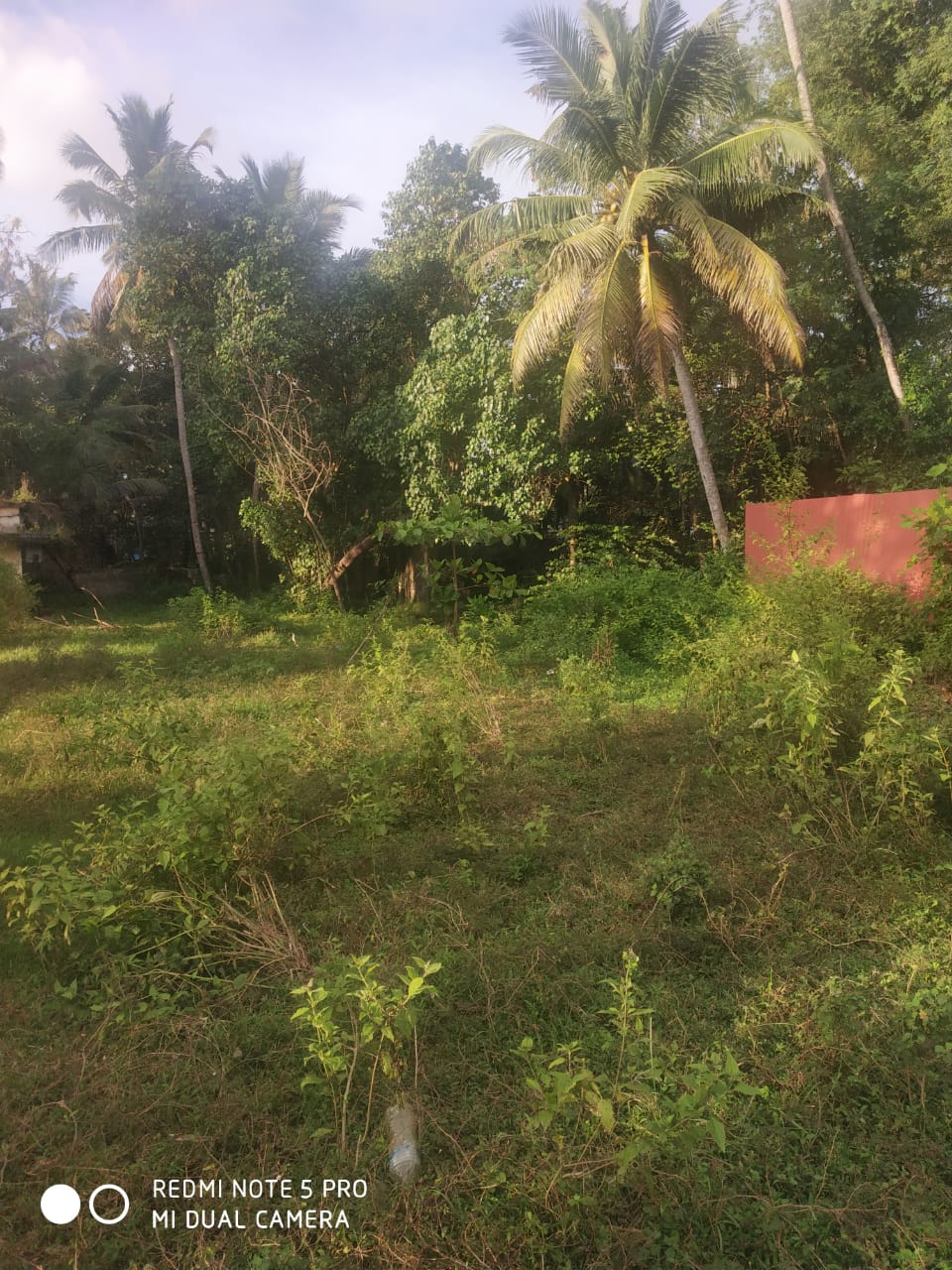 65 Cents of Land with 3 Old House - for sale in Madavana, Kochi ( Ernakulam ), Kerala