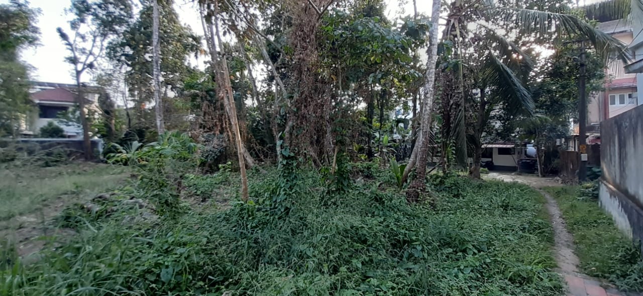 3 cents of Prime Residential Property