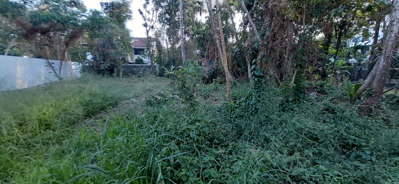 3 cents of Prime Residential Property