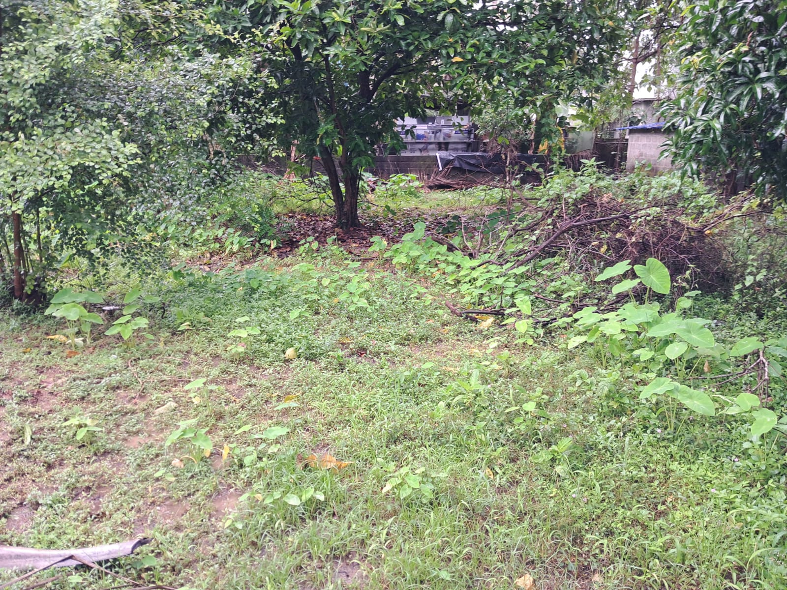 6Cents of Residential Property