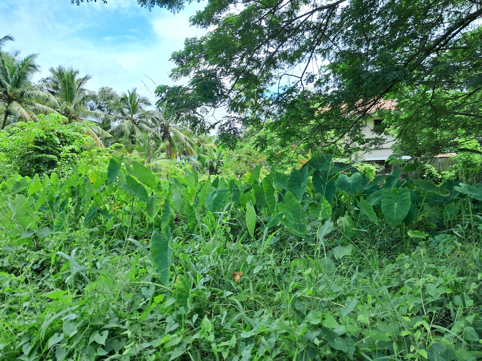 7-14 cents of Residential Land