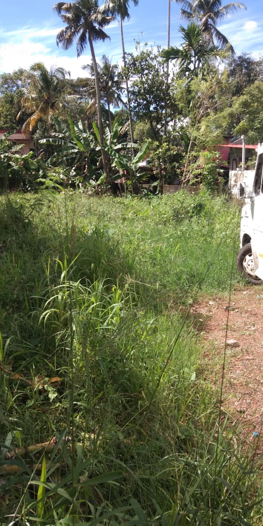 7 cents Land - for sale in kundannoor, Kochi ( Ernakulam ), Kerala