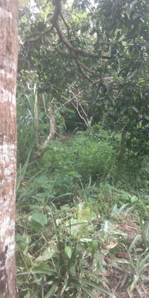 7 Cents of Land - for sale in Niravath Road, Kochi ( Ernakulam ), Kerala