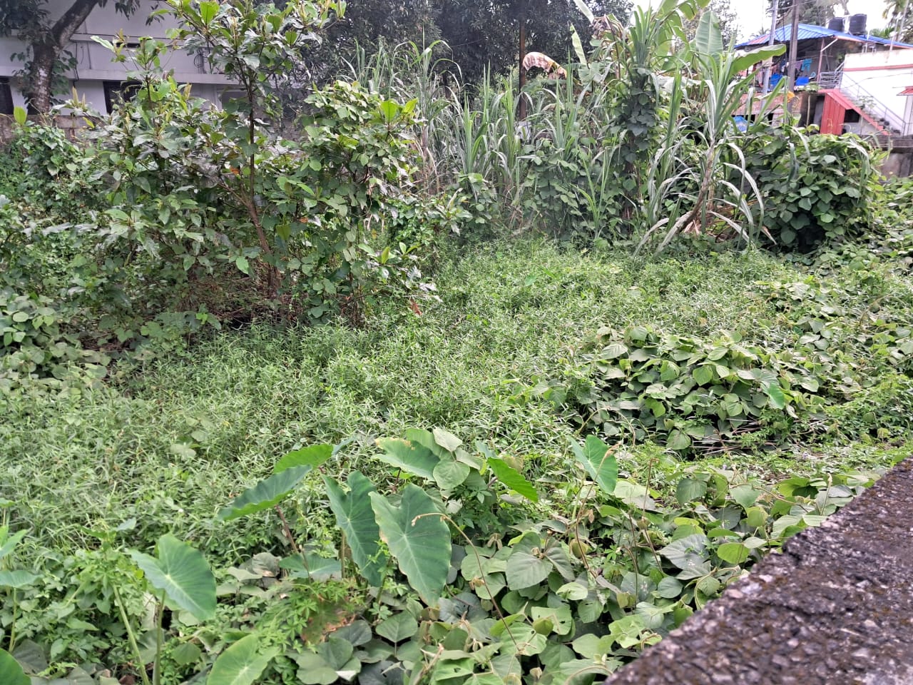 7 cents of Prime Residential Plot