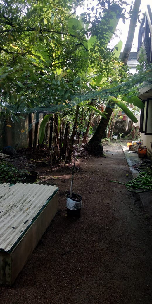 8.5Cent of Land with an  old house - for sale in Maradu, Kochi ( Ernakulam ), Kerala