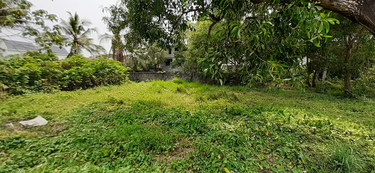 2 BHK Semifurnished Apartment,1000sqft in Kadavanthra