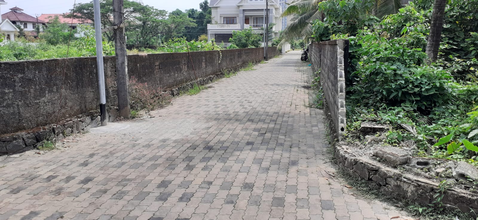 2 BHK Semifurnished Apartment,1000sqft in Kadavanthra