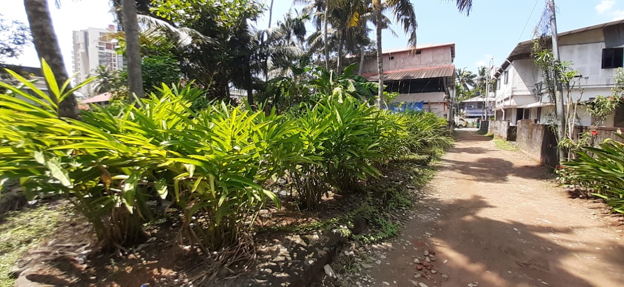 1650sqft, 3BHK Semifurnished Flat in Chalikkavattom, Vyttila