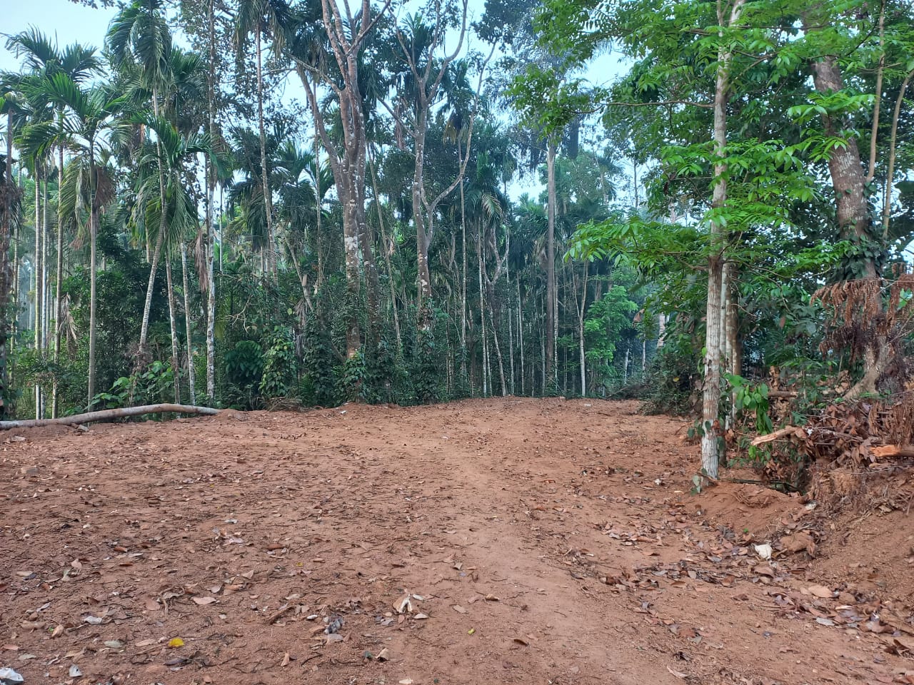 14Cent Residential Land