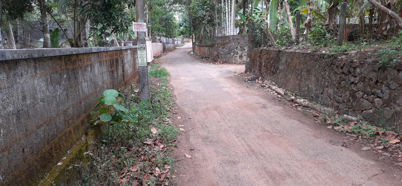 3000sqft, 4BHK Posh house with 10.50cent in Elamakkara, Kaloor - for sale in Elamakkara, Kochi ( Ernakulam ), Kerala