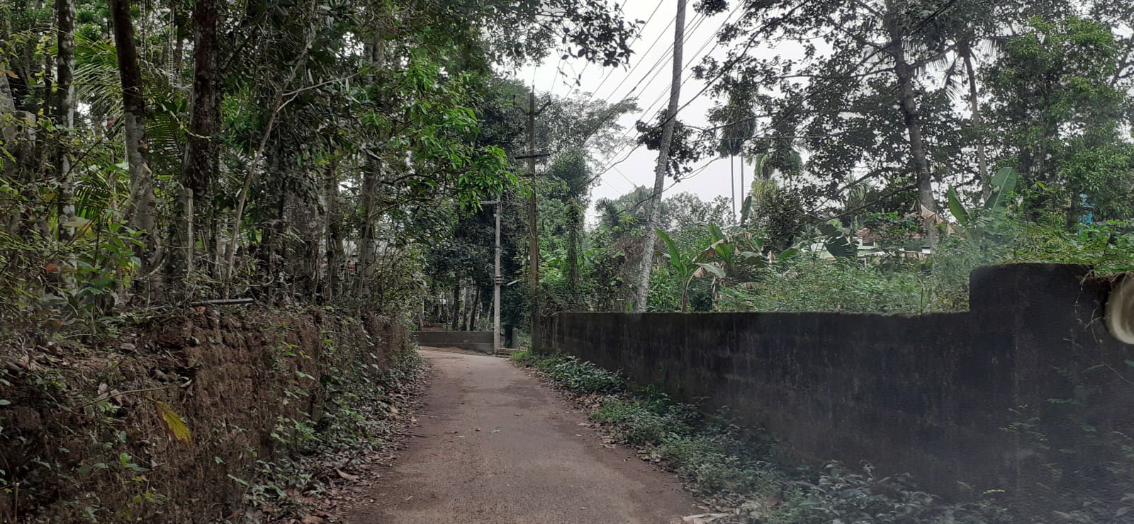 3000sqft, 4BHK Posh house with 10.50cent in Elamakkara, Kaloor