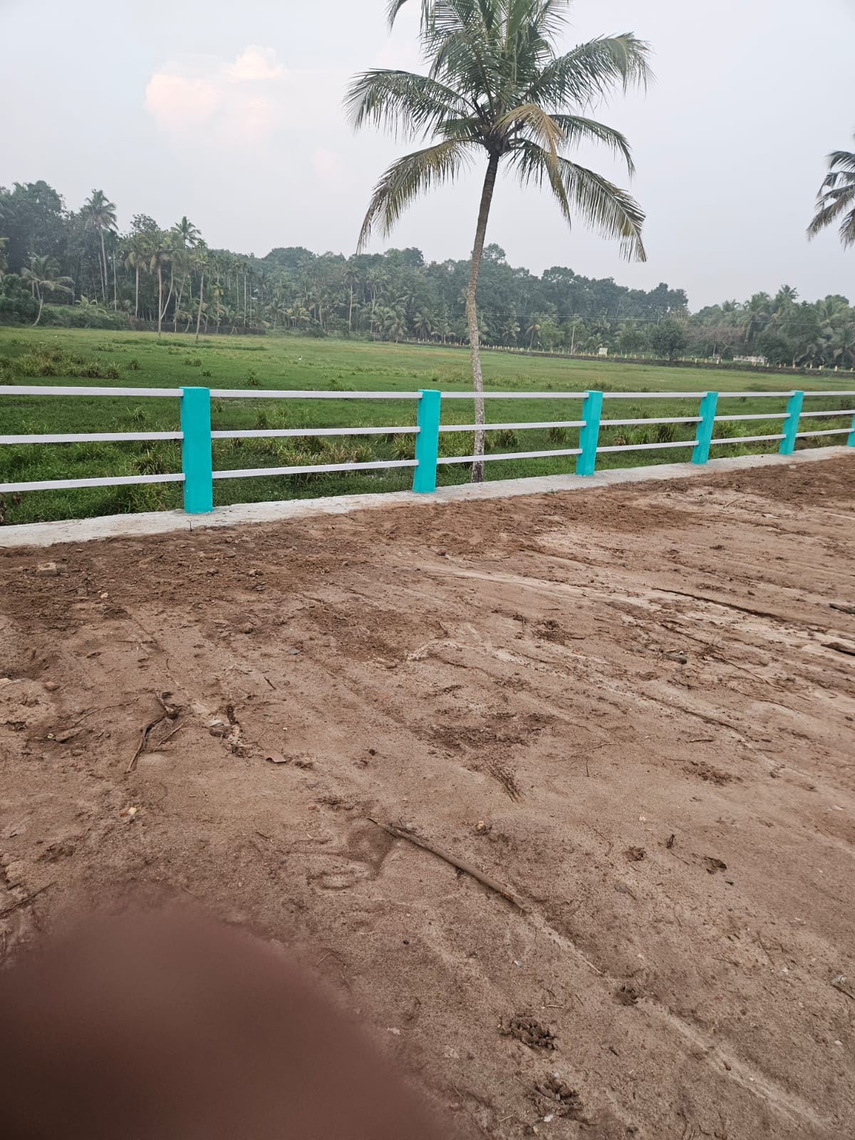 5.50 cents of Residential Plot in Perumbilly, Mulanthuruthy