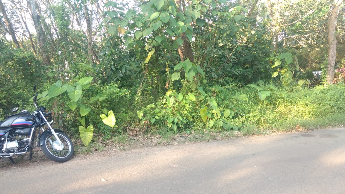 50 Cent of Land - for sale in Vattukkunnam, Kochi ( Ernakulam ), Kerala