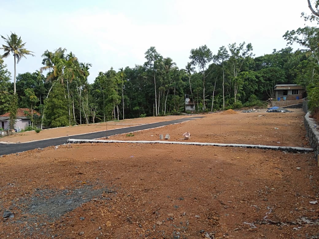 6.25 Cents of Residential Plot - for sale in Mulanthuruthy, Kochi ( Ernakulam ), Kerala