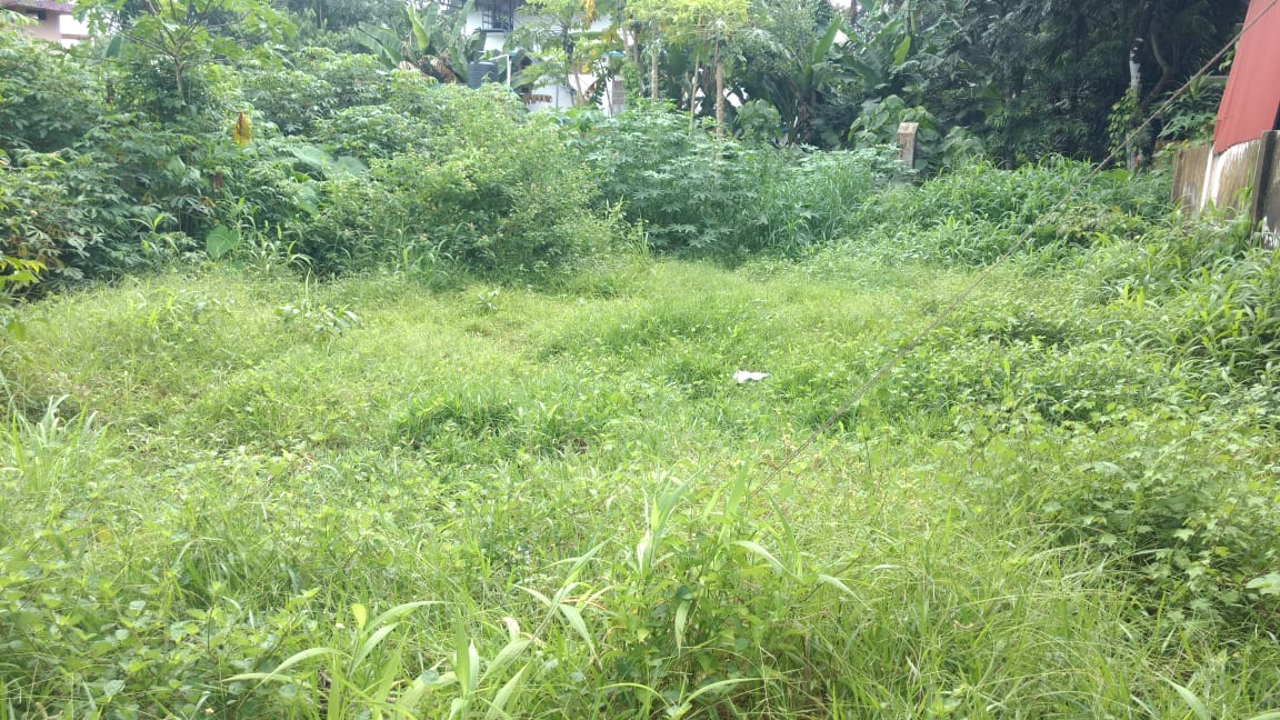 7.5 Cent land for sale. - for sale in Mulanthuruthyernakulam, Kochi ( Ernakulam ), Kerala